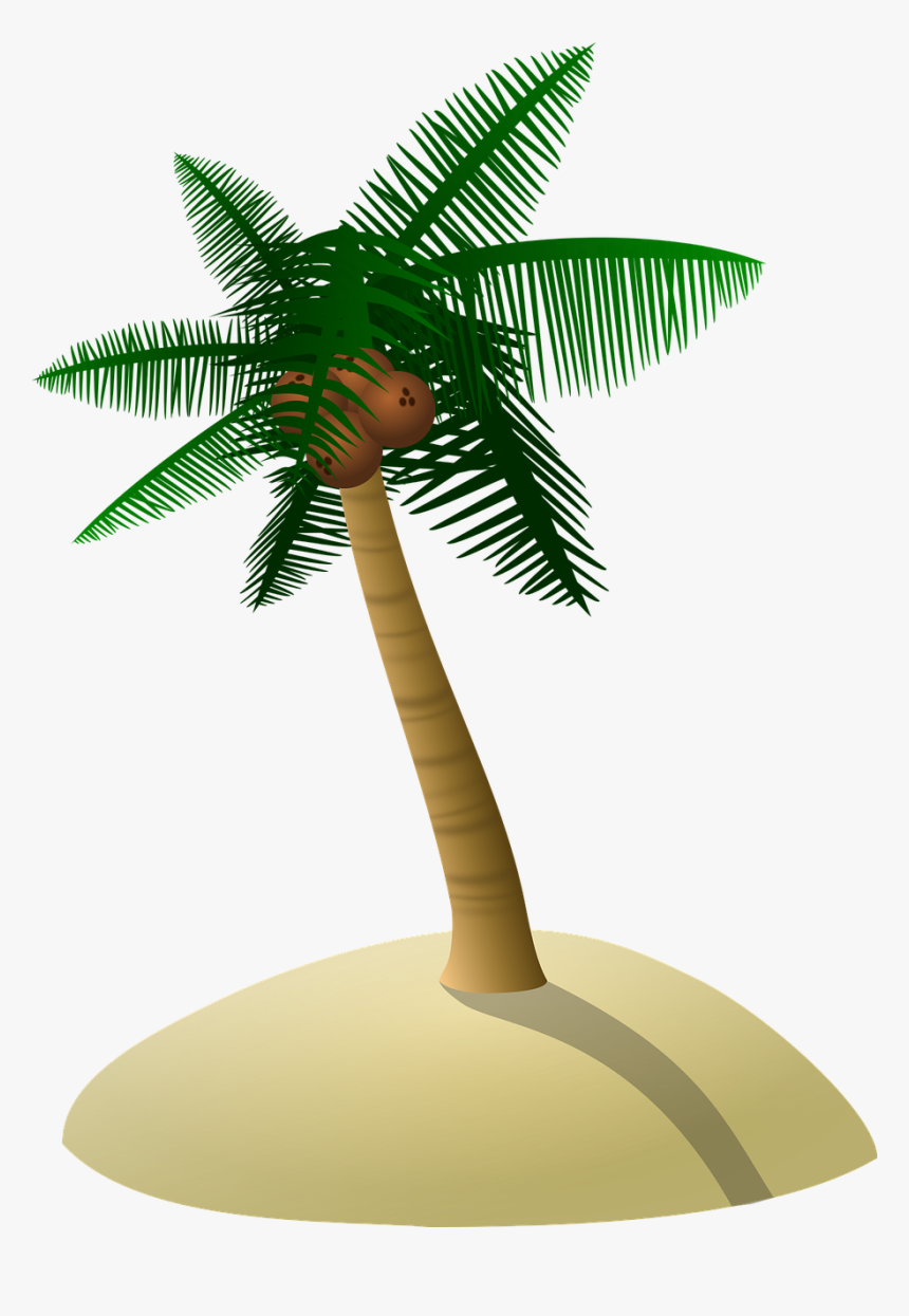 Transparent Palm Tree Png Transparent - Natural Structures And Man Made Structures, Png Download, Free Download