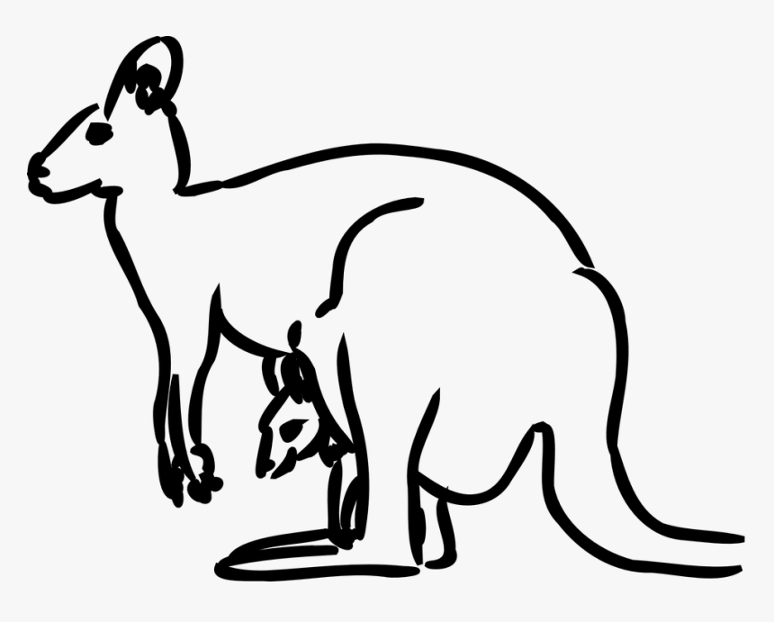 Kangaroo, Baby, Animal, Mammal, Jumping, Australia - Kangaroo Black And White Clipart, HD Png Download, Free Download