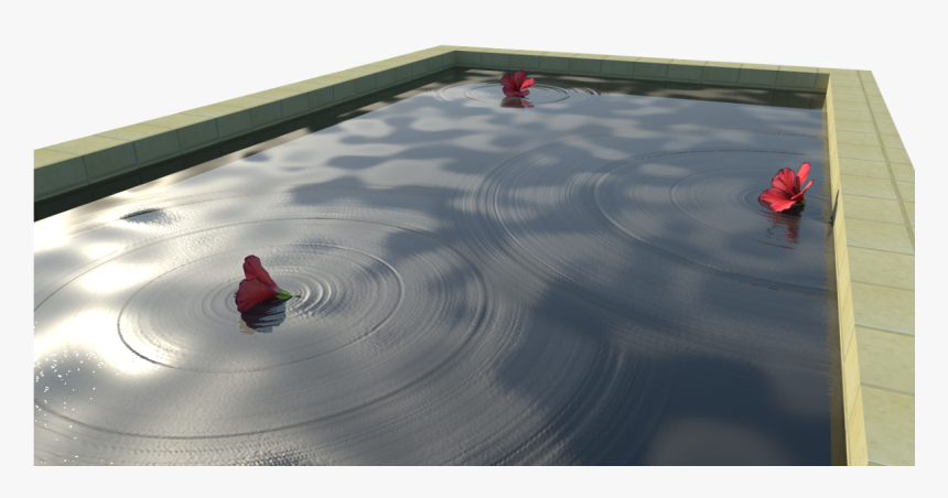 Pool Water Ripple Effect - V-ray, HD Png Download, Free Download