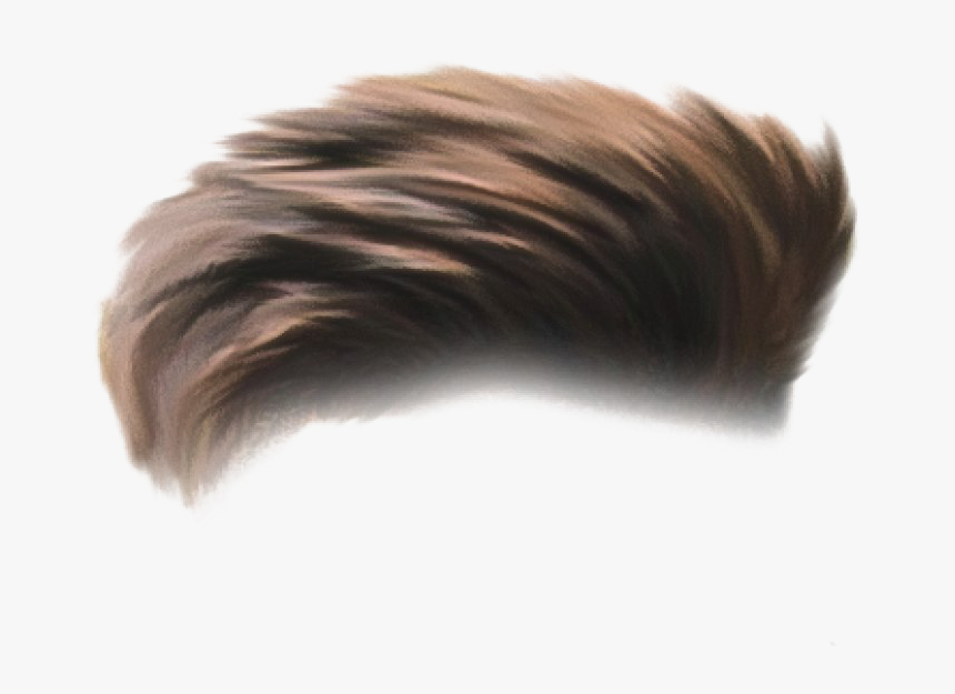 Men Hair Png Photo - Hair Png Hd Boy, Transparent Png, Free Download