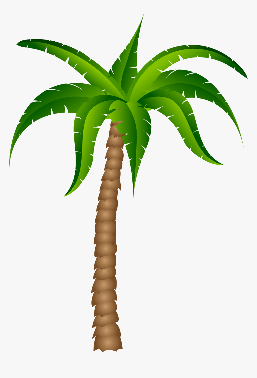 Palm Trees And Surfboard Transparent Background Clipart - Palm Tree With No Background, HD Png Download, Free Download