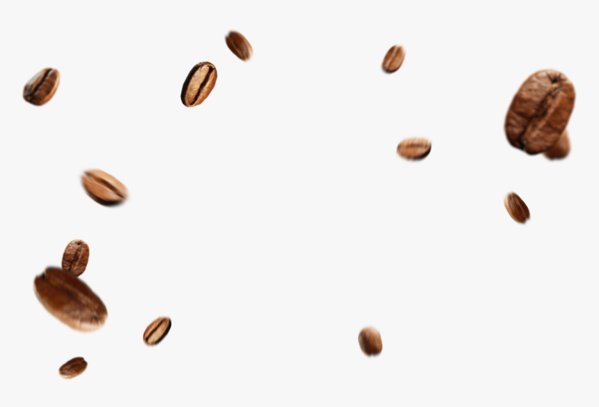 Coffee Beans Png - Png Clipart Coffee Bean Png, Transparent Png, Free Download