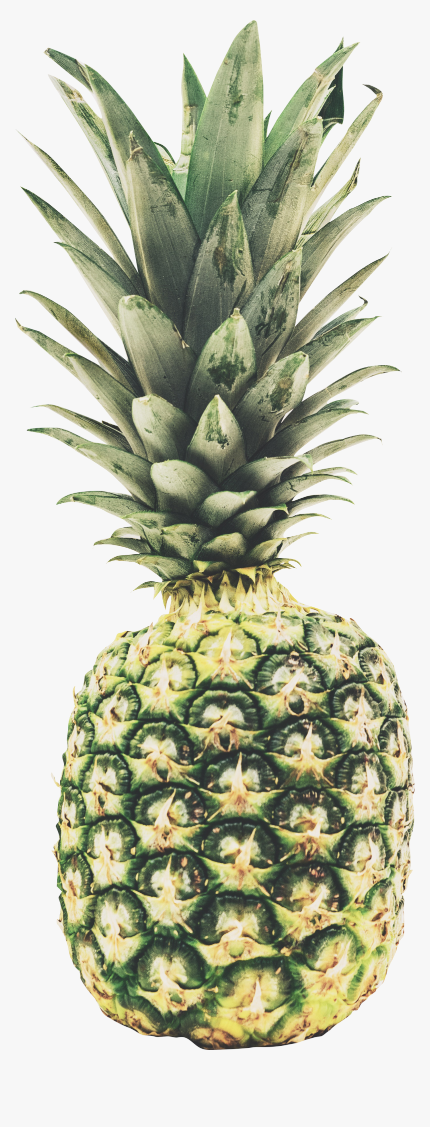 Pineapple, HD Png Download, Free Download