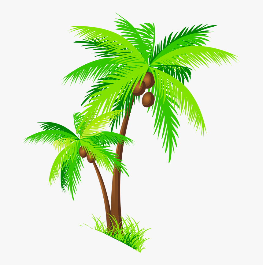 Palm Drawing At Getdrawings - Clip Art Coconut Tree Png, Transparent Png, Free Download