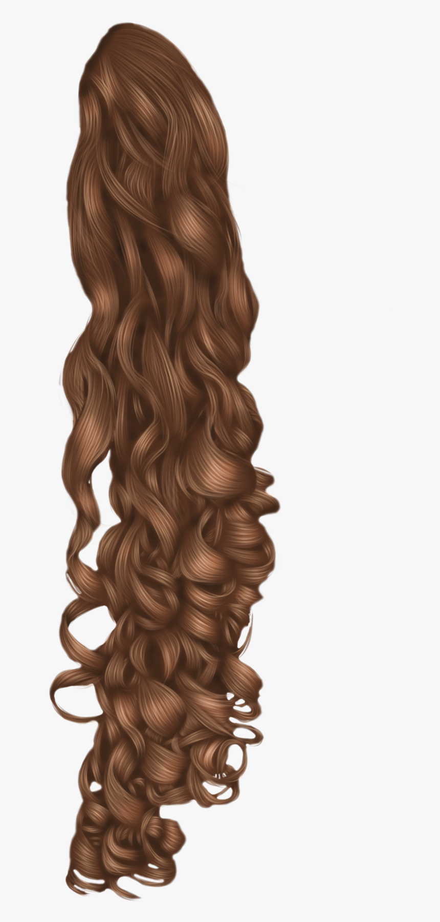 Black Hair Wig Hairstyle - Curly Hair Png Transparent, Png Download, Free Download