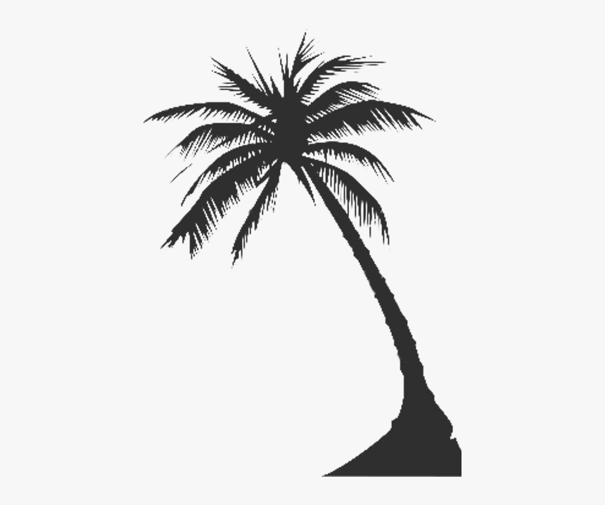 Elaeis - Vector Palm Tree Png, Transparent Png, Free Download