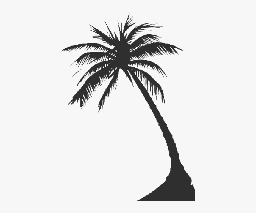 palm tree vector png