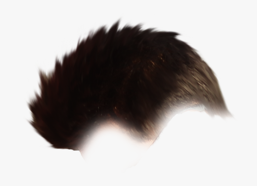 Hair Png Fireball Manipulation Editing Background - Echidna, Transparent Png, Free Download