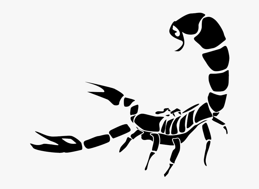 Scorpion Png, Transparent Png, Free Download