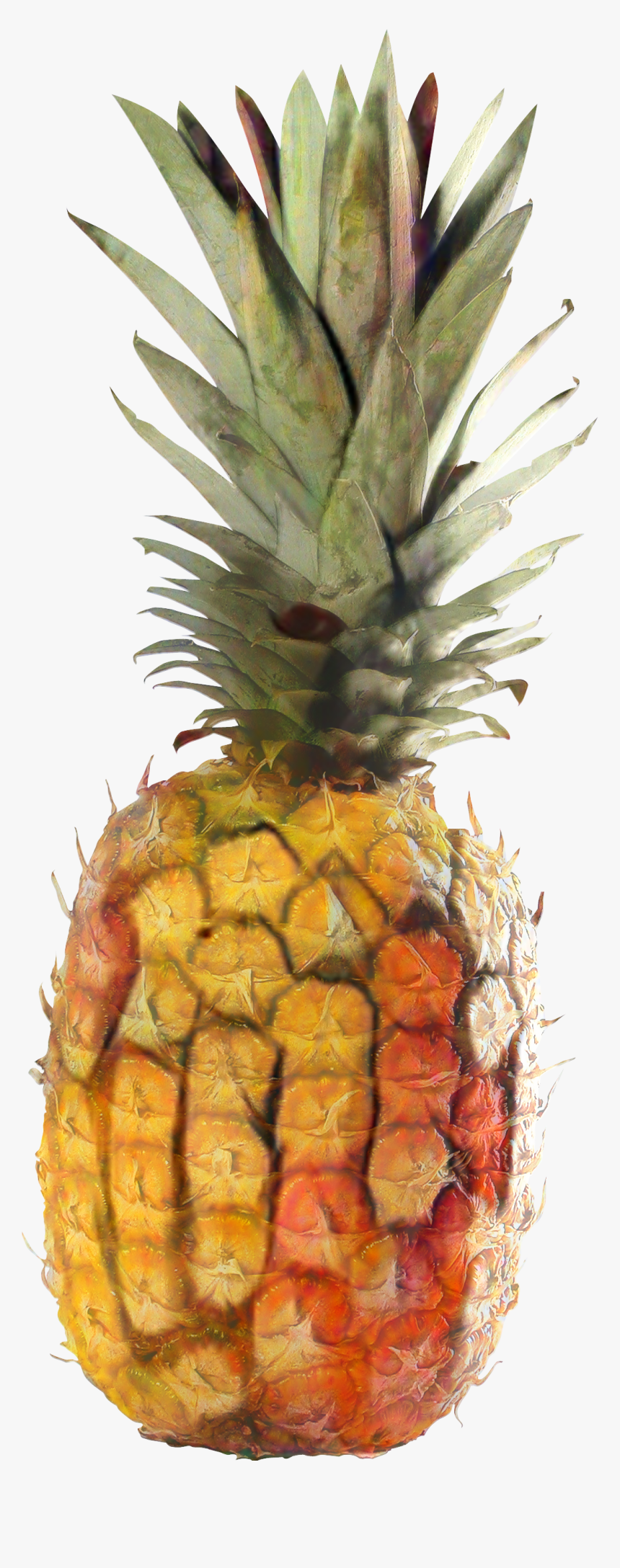 Png Download - Pineapple, Transparent Png, Free Download