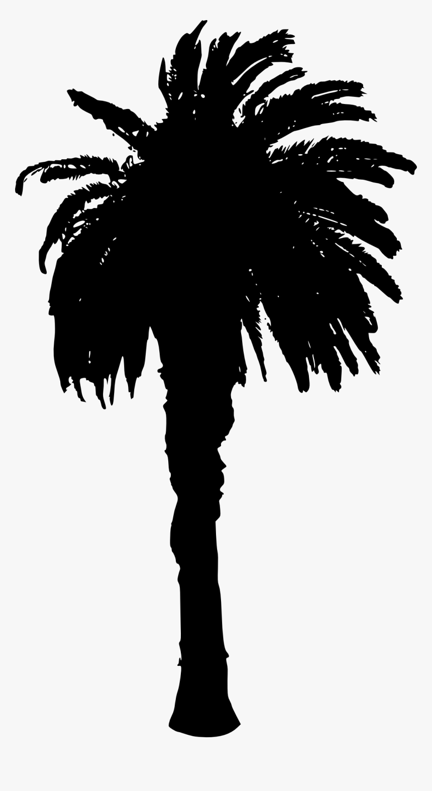 Palm Tree 10 By Diegledezma - Palm Trees, HD Png Download, Free Download