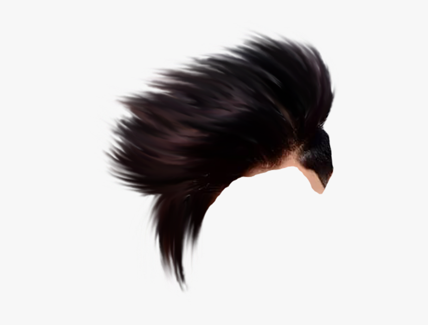 Editing Hair Png Cb, Transparent Png, Free Download