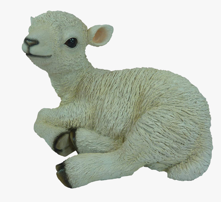 Lamb Png Pic - Lamb Png Transparent, Png Download, Free Download