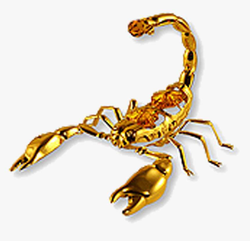Scorpion Amulet Talisman Zodiac - Gold Transparent Scorpio Sign, HD Png Download, Free Download
