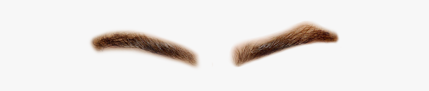 Bushy Eyebrows Png- - Cara Delevingne Eyebrows Png, Transparent Png, Free Download