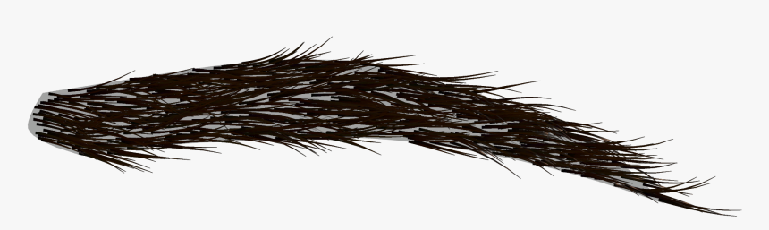 Angry Eyebrows Png, Transparent Png, Free Download