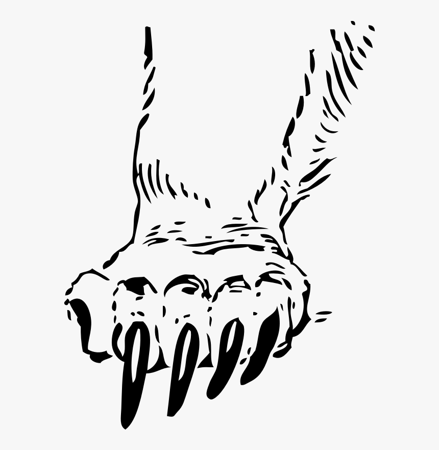 Transparent Tiger Paw Clipart Black And White - Bear Claw Black And White Clipart, HD Png Download, Free Download