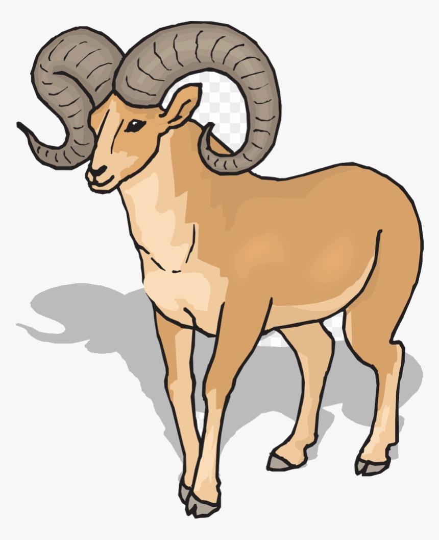 Goat Clipart Front Bighorn Sheep Transparent Png - Ram Clipart, Png Download, Free Download