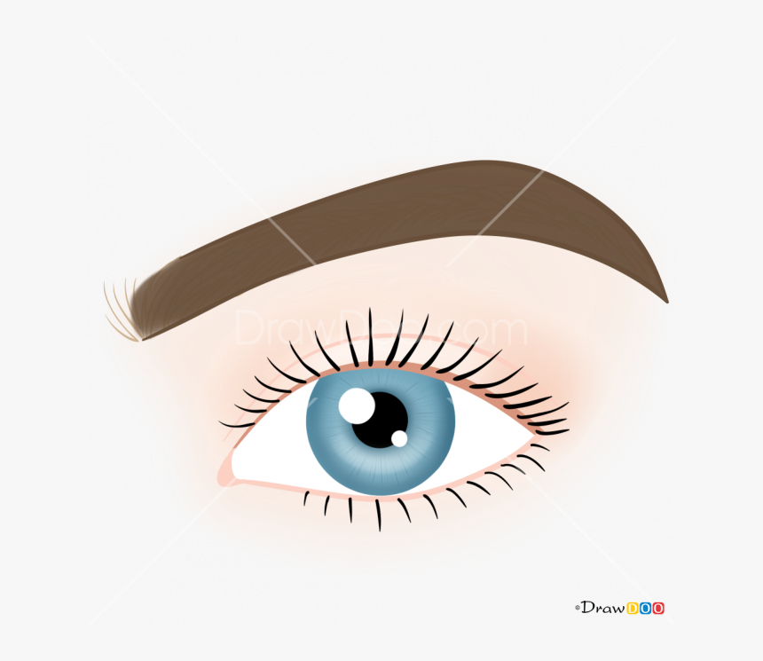 Collection Of Free Drawing Eyebrows Nice Download On - Eye Liner, HD Png Download, Free Download