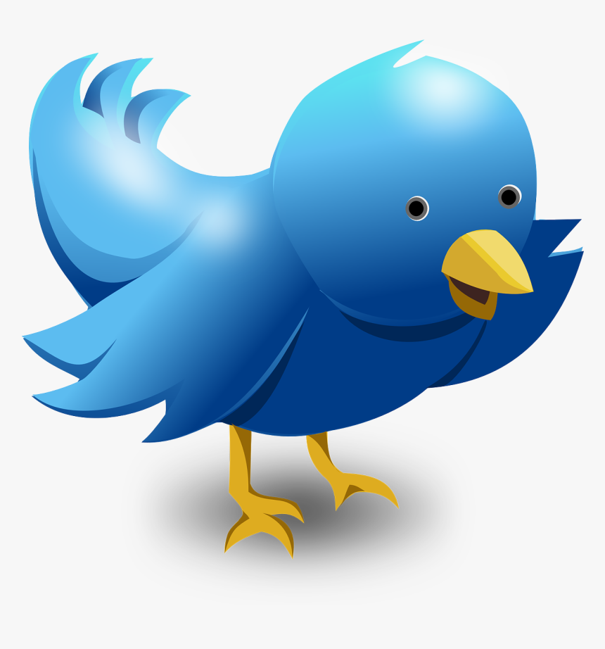 Twitter Logo Png, Transparent Png, Free Download