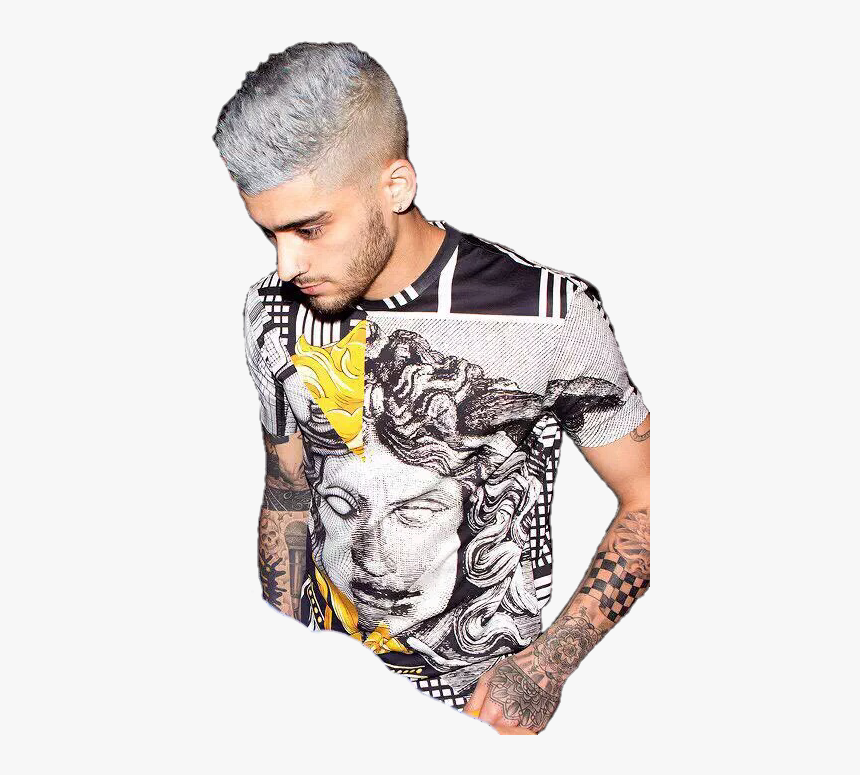 Skynouis, Instagram - Zayn Malik Ailver Hair, HD Png Download, Free Download