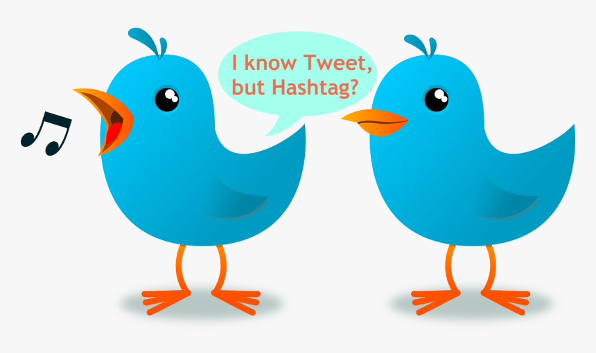 Making Sense Of Twitter Lingo - Bird Cartoon Gif Png, Transparent Png, Free Download