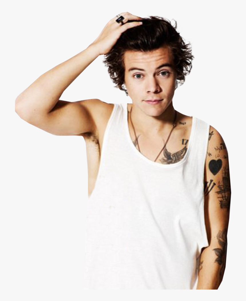 Harry Styles Png - Harry Styles No Background, Transparent Png, Free Download