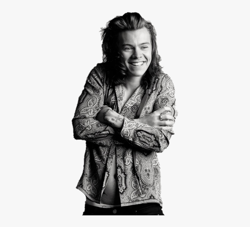 Harry Styles Made In The A - Harry Styles Best Shoot, HD Png Download, Free Download