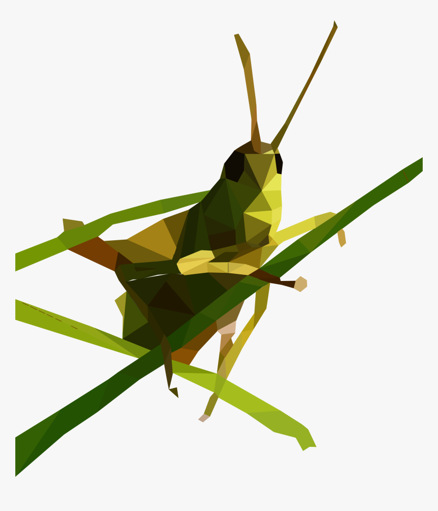 Grasshopper Low Poly, HD Png Download, Free Download