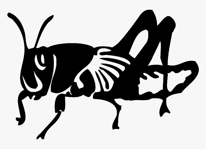 Locust Drawing Black And White - Locust Black And White, HD Png Download, Free Download
