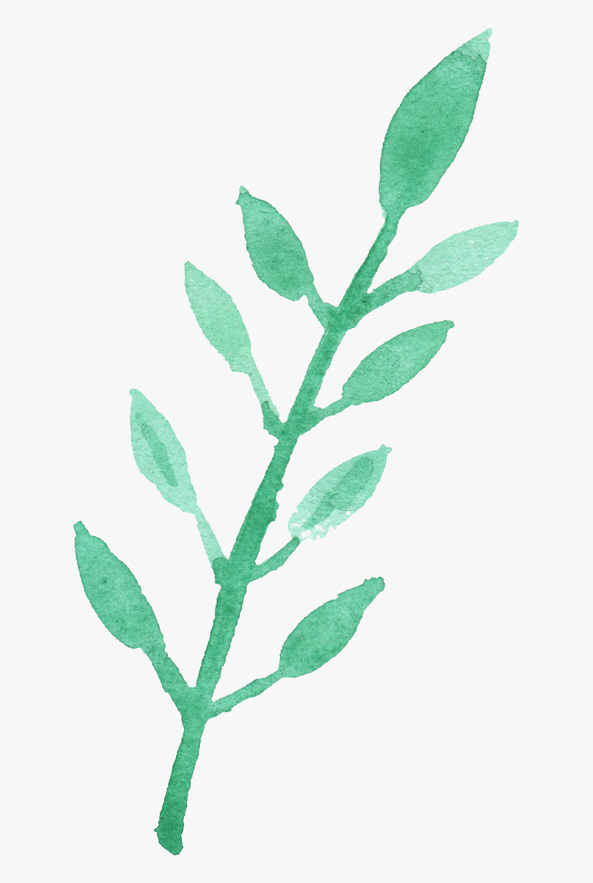 Green Watercolor Leaf Png, Transparent Png, Free Download