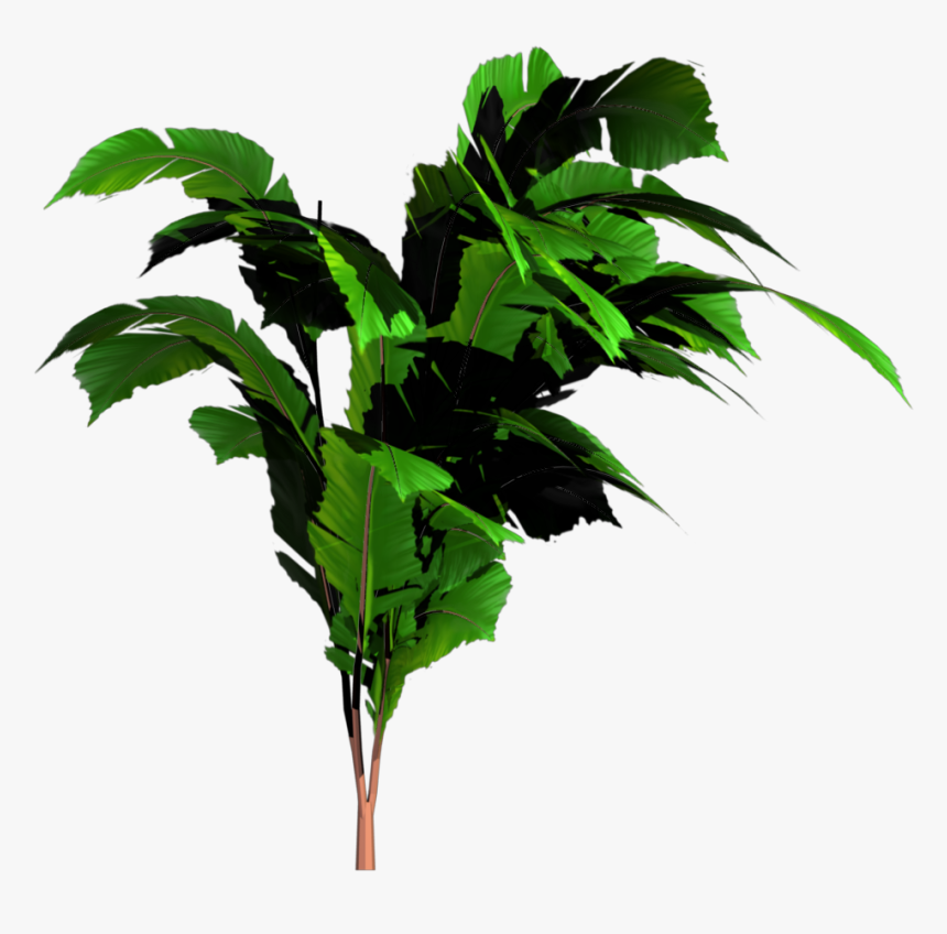 Single Banana Tree Plant Png - Transparent Jungle Leaves Png, Png Download, Free Download