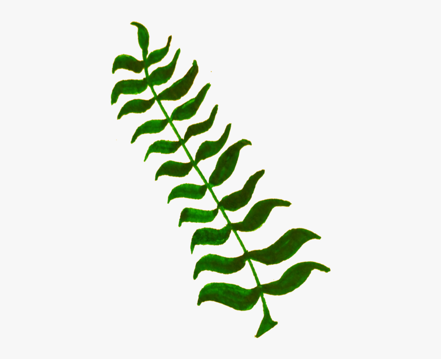 Plant,leaf,tree - Clipart Of Plants, HD Png Download, Free Download