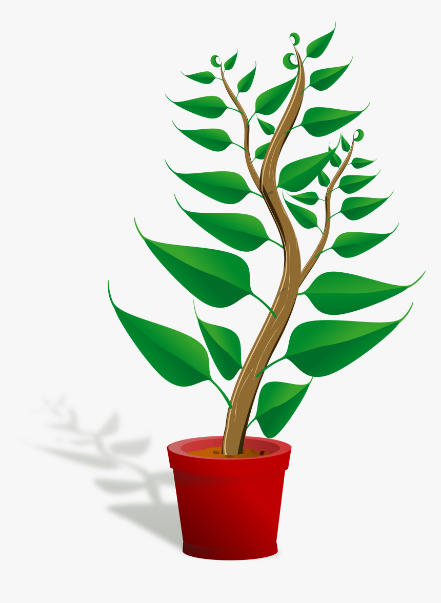 Plant Clipart, HD Png Download, Free Download