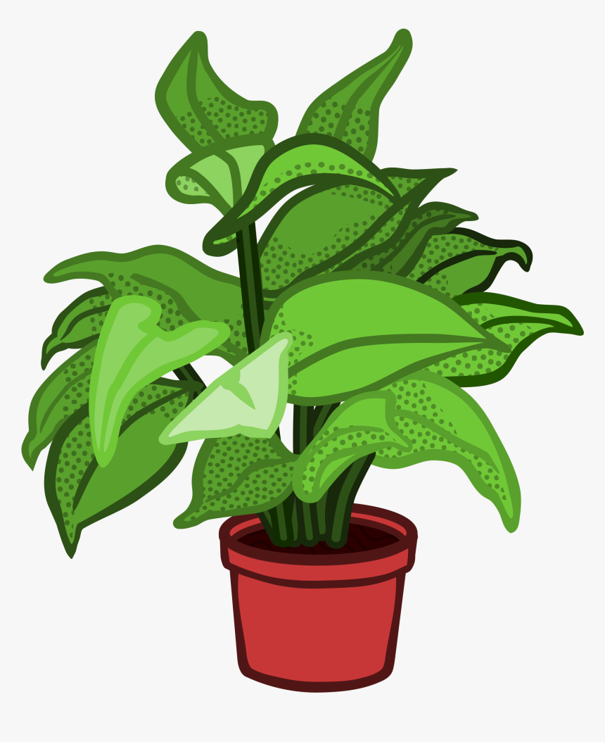 Coloured Clip Arts - Clipart Of A Plant, HD Png Download, Free Download