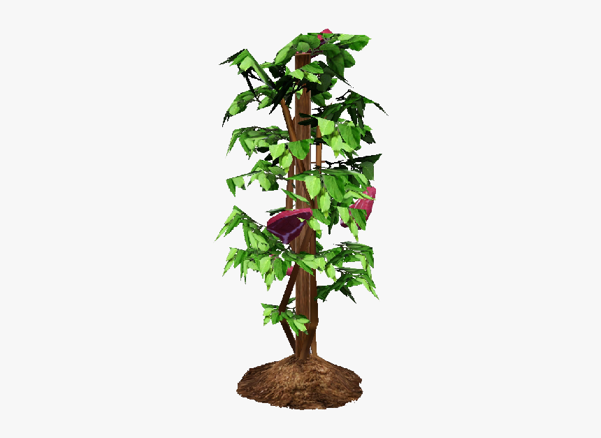 Tomato Plant Png - Tomato Plants Png, Transparent Png, Free Download
