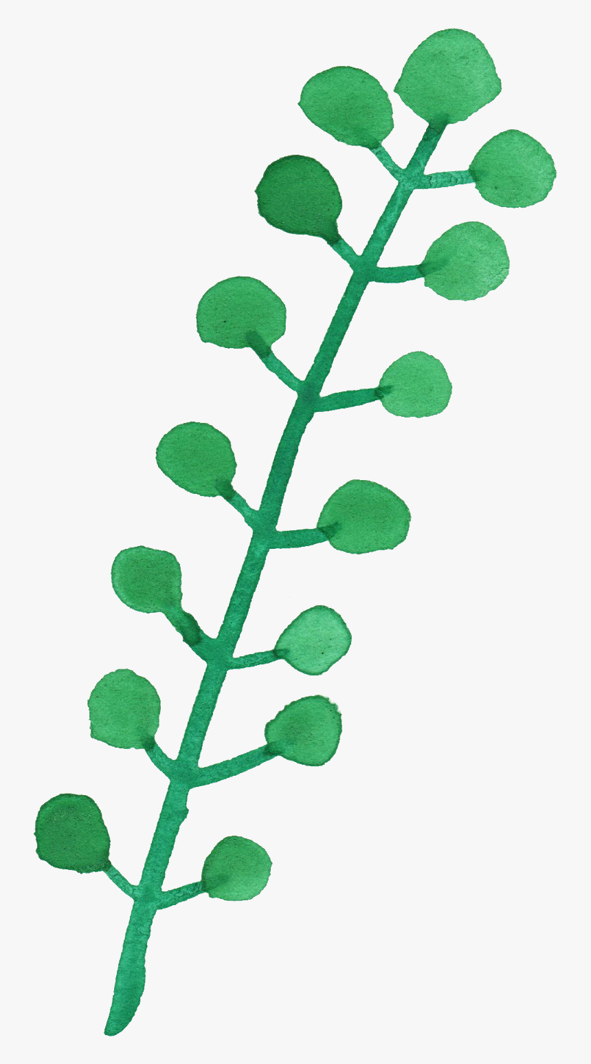 Green Watercolor Png Leaf, Transparent Png, Free Download