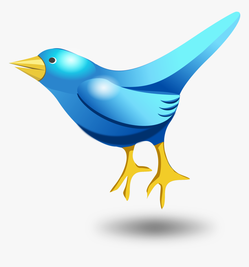 Birds Png Vector, Transparent Png, Free Download