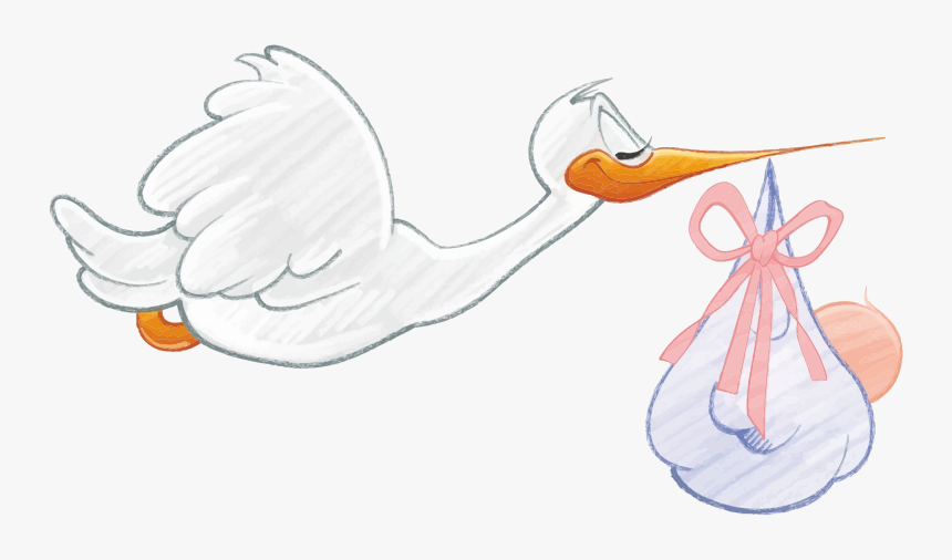 Stork Carrying Baby Girl, HD Png Download, Free Download