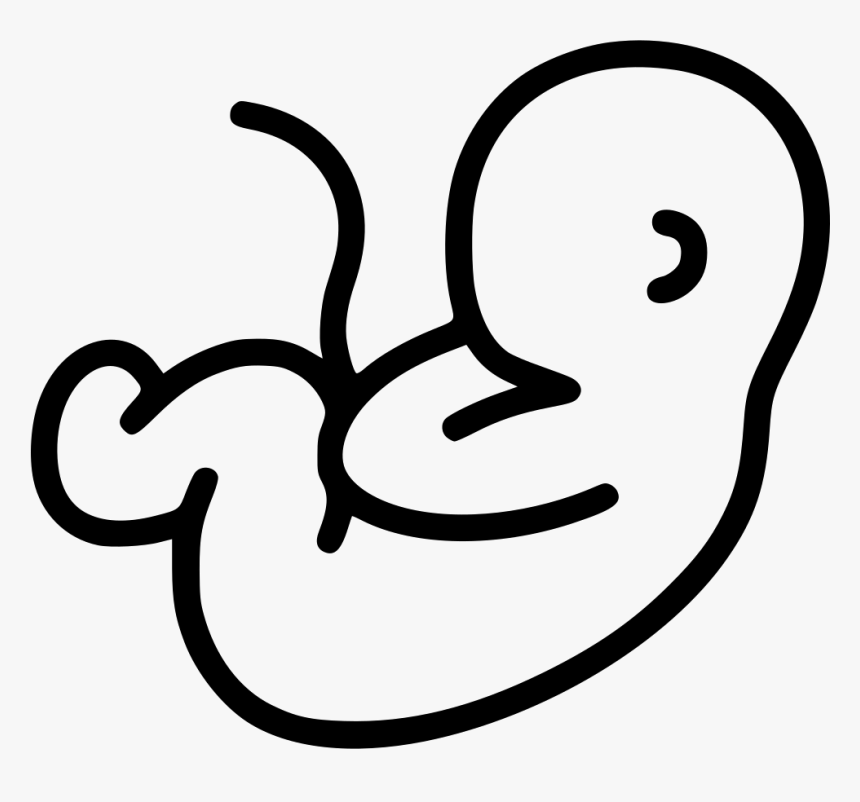 Fetus Clipart, HD Png Download, Free Download