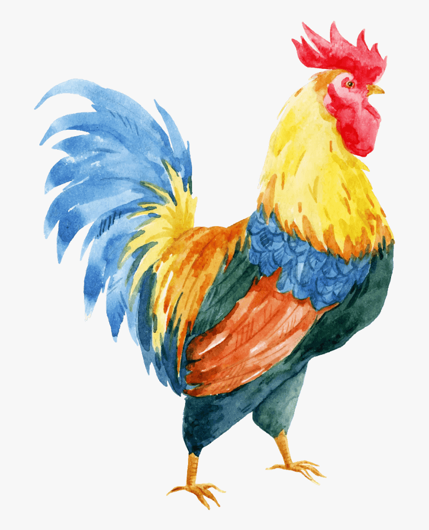 Watercolor Chicken, HD Png Download, Free Download