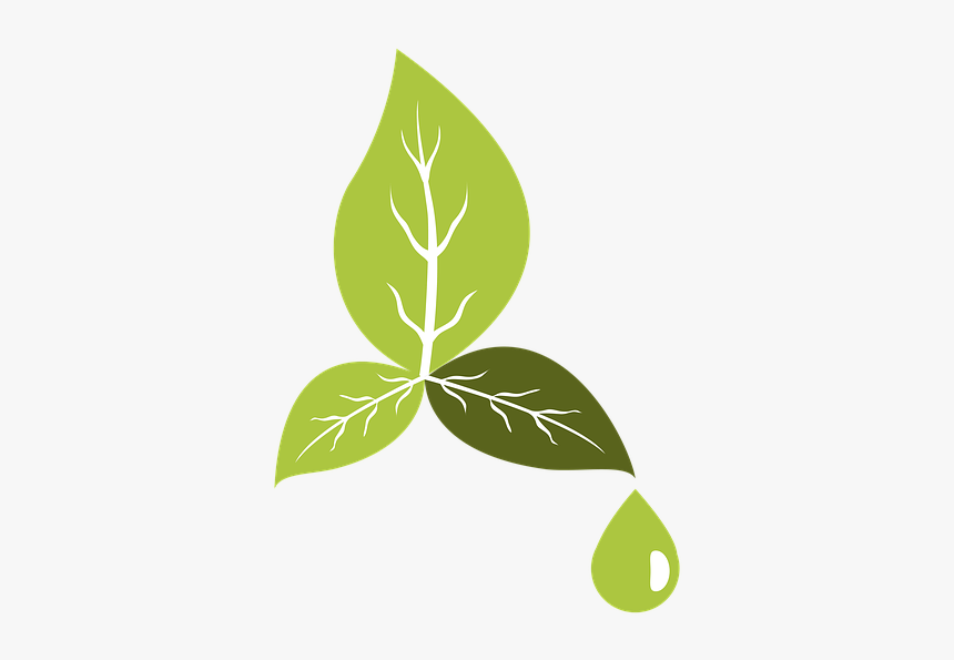 Environment, Friendly, Eco, Nature, Electricity, Water - Eco Png, Transparent Png, Free Download