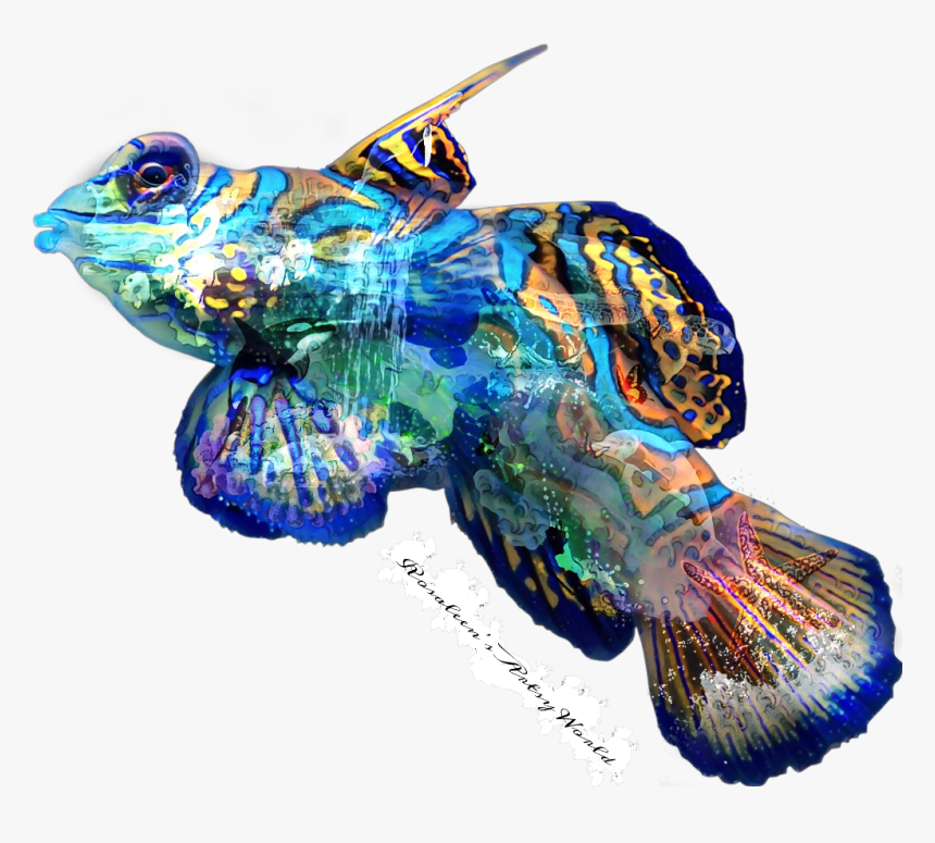All About Ocean Fish Sticker - Coral Reef Fish Transparent Background, HD Png Download, Free Download