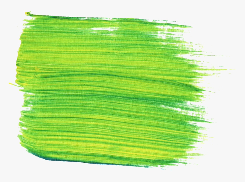 Stroke Painting Brush Paintbrush Free Hd Image Clipart - Green Paint Brush Png, Transparent Png, Free Download