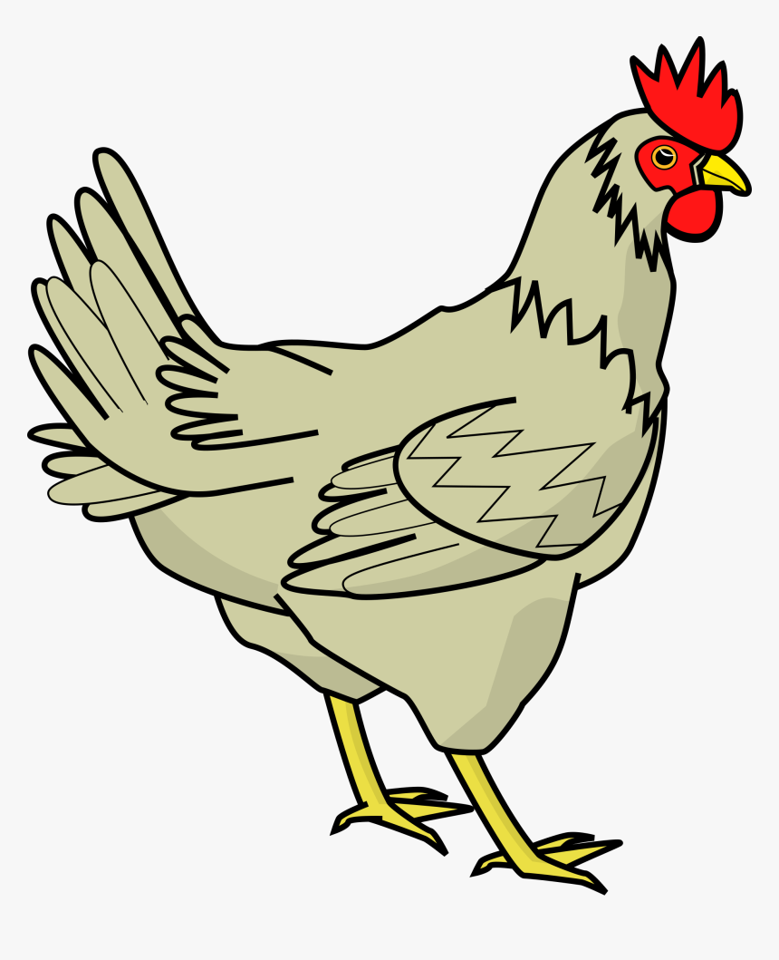 Chicken Clipart, HD Png Download, Free Download