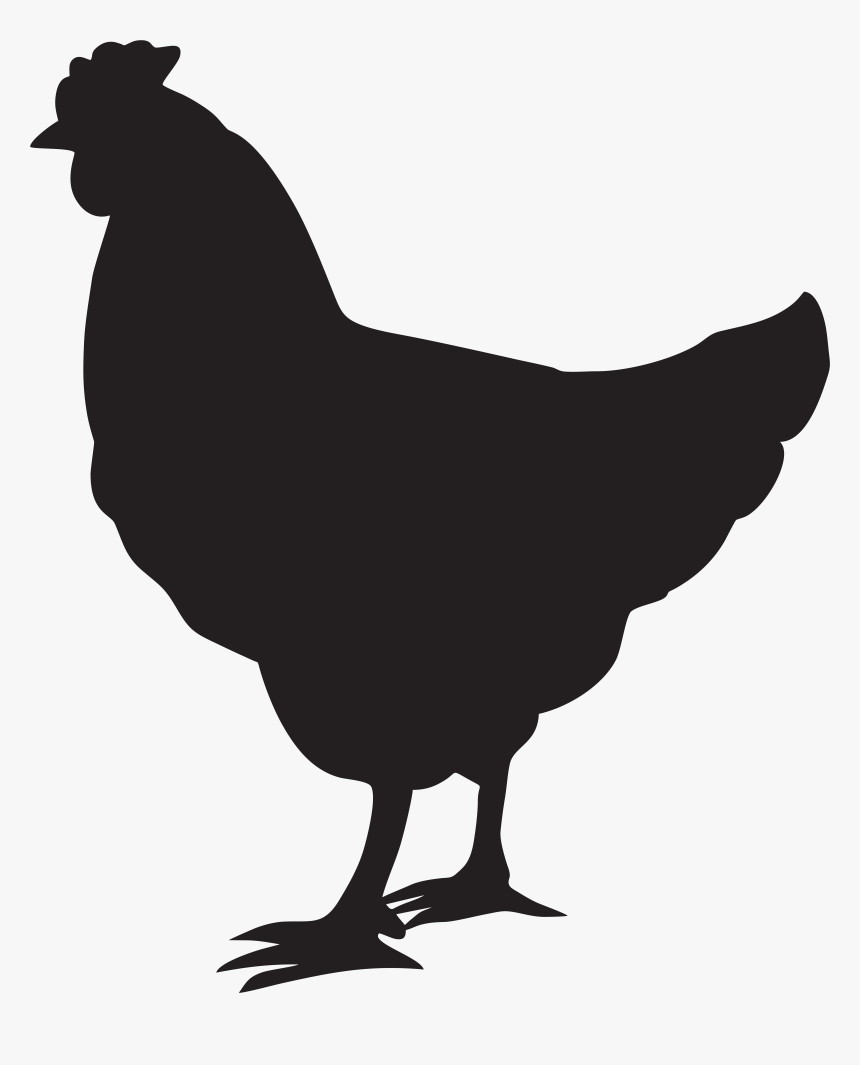 Clip Art Rooster Clip Art Hen, HD Png Download, Free Download