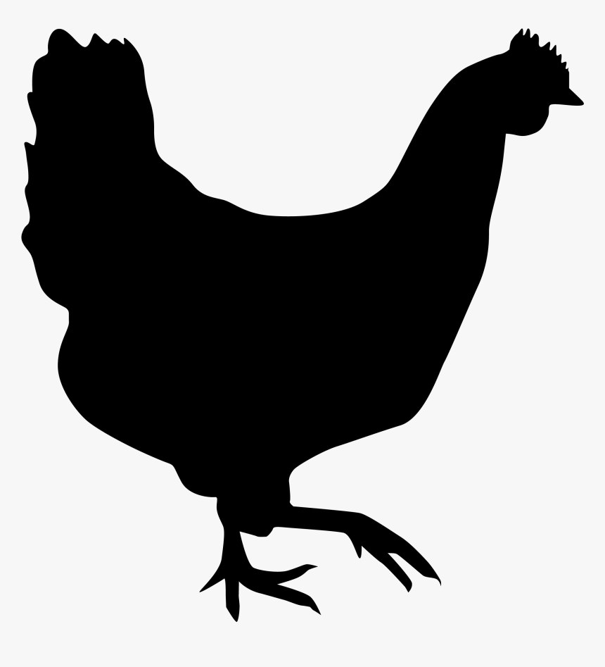 Rooster Chicken Silhouette Drawing - Fat Chicken Silhouette, HD Png Download, Free Download
