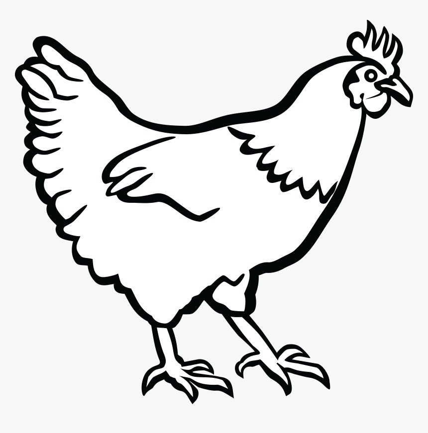 Collection Of Chicken - Hen Black And White Clipart, HD Png Download, Free Download