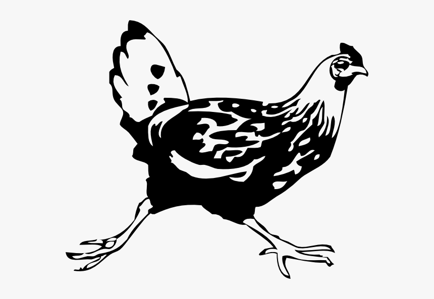 Running Chicken Svg Clip Arts - Draw A Chicken Running, HD Png Download, Free Download