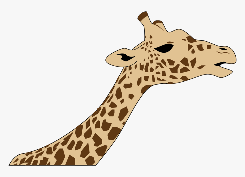 Giraffe Neck And Head Drawing, HD Png Download, Free Download
